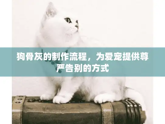 狗骨灰的制作流程，为爱宠提供尊严告别的方式