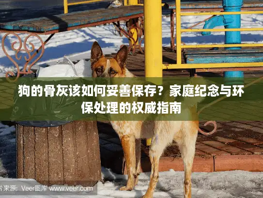 狗的骨灰该如何妥善保存？家庭纪念与环保处理的权威指南
