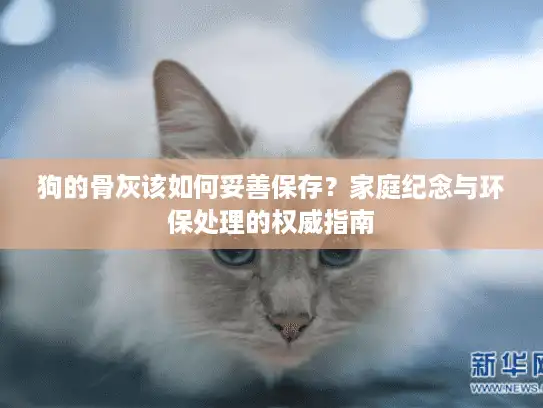 狗的骨灰该如何妥善保存？家庭纪念与环保处理的权威指南