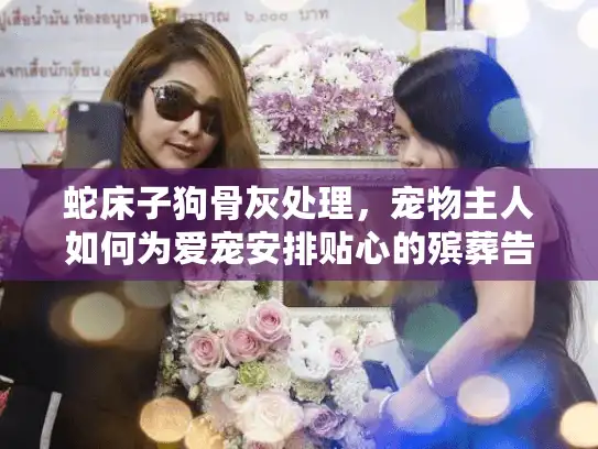 蛇床子狗骨灰处理，宠物主人如何为爱宠安排贴心的殡葬告别？
