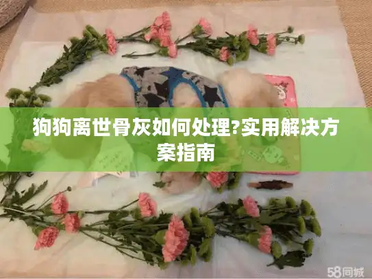 狗狗离世骨灰如何处理?实用解决方案指南