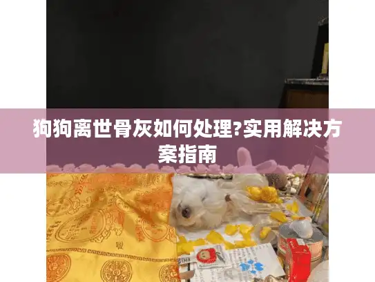 狗狗离世骨灰如何处理?实用解决方案指南