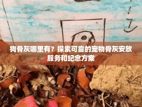 狗骨灰哪里有？探索可靠的宠物骨灰安放服务和纪念方案