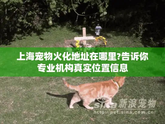 上海宠物火化地址在哪里?告诉你专业机构真实位置信息