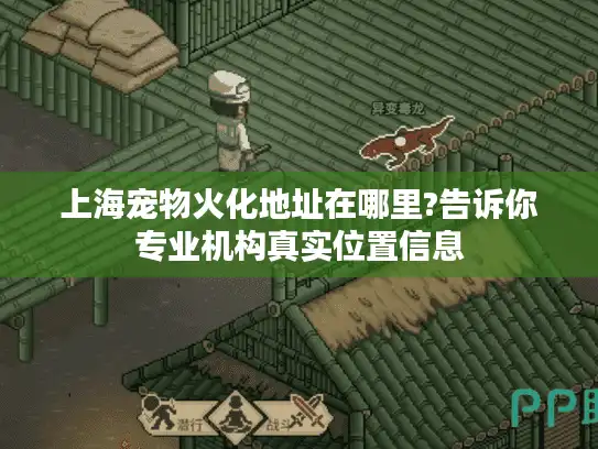 上海宠物火化地址在哪里?告诉你专业机构真实位置信息
