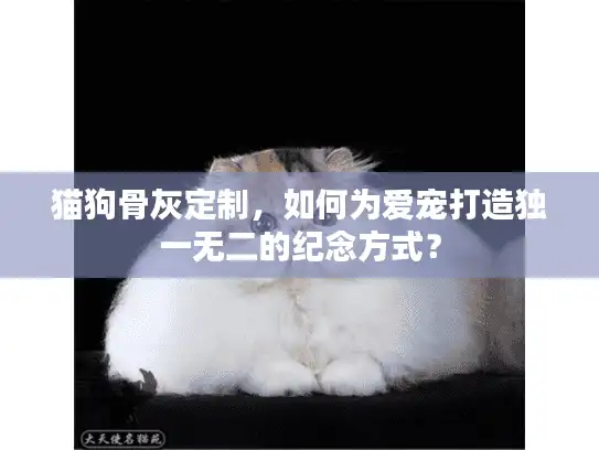 猫狗骨灰定制，如何为爱宠打造独一无二的纪念方式？