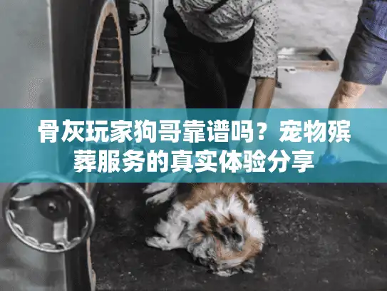 骨灰玩家狗哥靠谱吗？宠物殡葬服务的真实体验分享