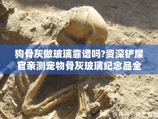 狗骨灰做玻璃靠谱吗?资深铲屎官亲测宠物骨灰玻璃纪念品全过程