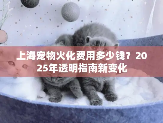 上海宠物火化费用多少钱？2025年透明指南新变化