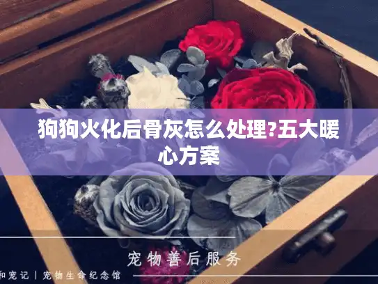狗狗火化后骨灰怎么处理?五大暖心方案