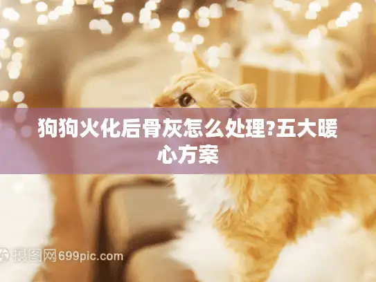 狗狗火化后骨灰怎么处理?五大暖心方案