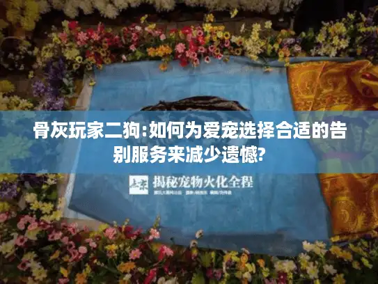 骨灰玩家二狗:如何为爱宠选择合适的告别服务来减少遗憾?