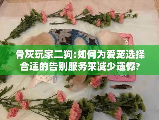 骨灰玩家二狗:如何为爱宠选择合适的告别服务来减少遗憾?