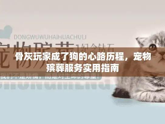 骨灰玩家成了狗的心路历程，宠物殡葬服务实用指南