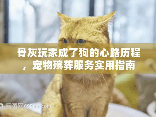 骨灰玩家成了狗的心路历程，宠物殡葬服务实用指南