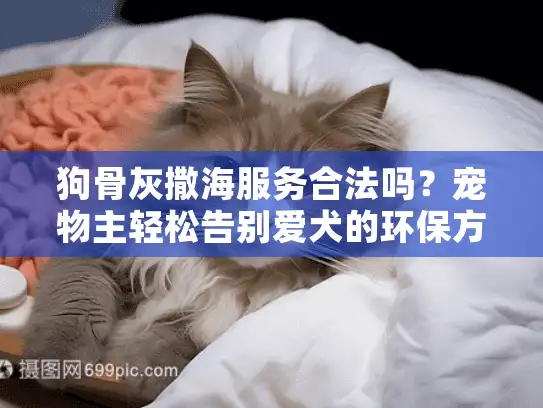 狗骨灰撒海服务合法吗？宠物主轻松告别爱犬的环保方案