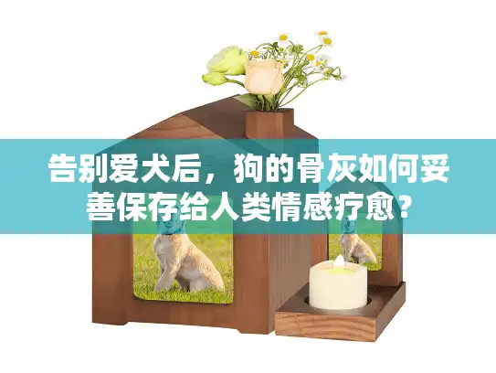 告别爱犬后，狗的骨灰如何妥善保存给人类情感疗愈？
