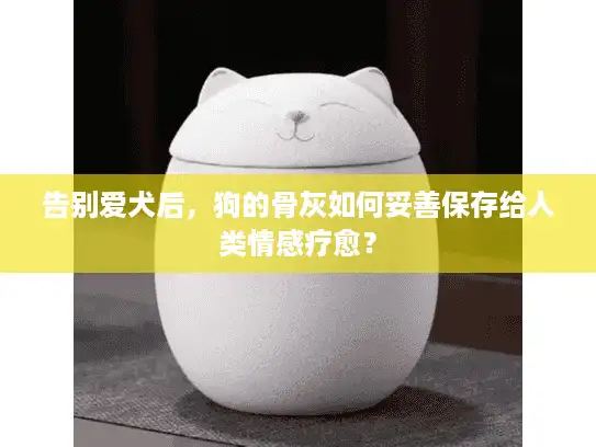 告别爱犬后，狗的骨灰如何妥善保存给人类情感疗愈？