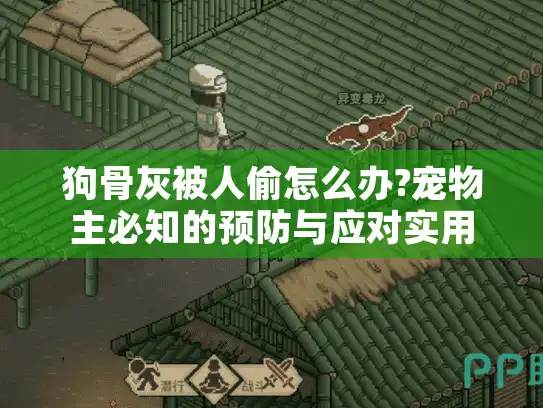 狗骨灰被人偷怎么办?宠物主必知的预防与应对实用指南