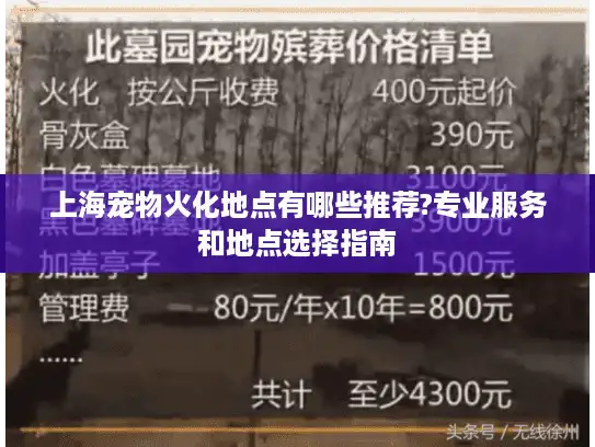 上海宠物火化地点有哪些推荐?专业服务和地点选择指南