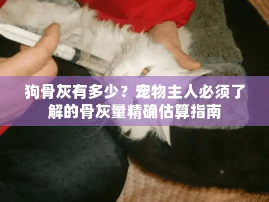 狗骨灰有多少？宠物主人必须了解的骨灰量精确估算指南