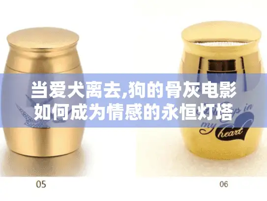 当爱犬离去,狗的骨灰电影如何成为情感的永恒灯塔?