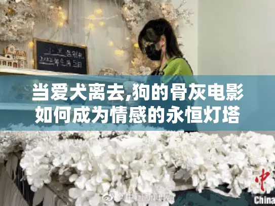 当爱犬离去,狗的骨灰电影如何成为情感的永恒灯塔?