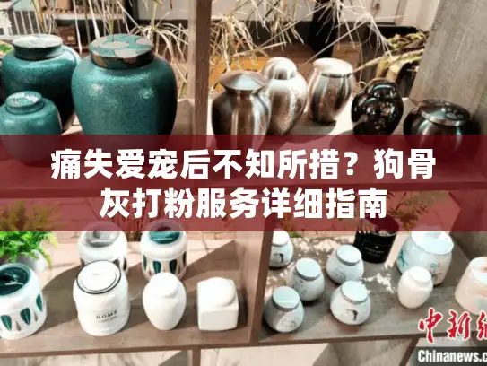 痛失爱宠后不知所措？狗骨灰打粉服务详细指南