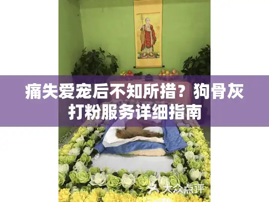 痛失爱宠后不知所措？狗骨灰打粉服务详细指南