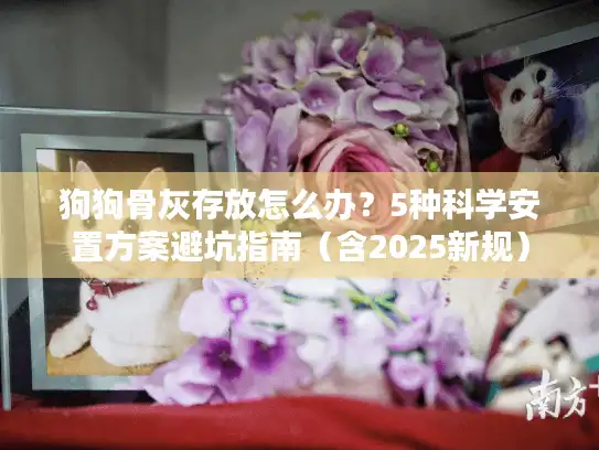 狗狗骨灰存放怎么办？5种科学安置方案避坑指南（含2025新规）