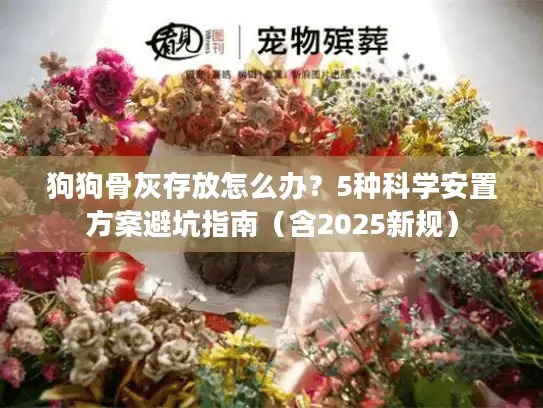 狗狗骨灰存放怎么办？5种科学安置方案避坑指南（含2025新规）