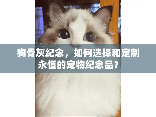 狗骨灰纪念，如何选择和定制永恒的宠物纪念品？
