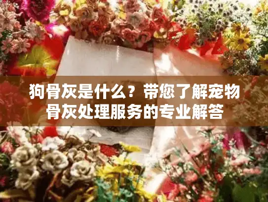 狗骨灰是什么？带您了解宠物骨灰处理服务的专业解答