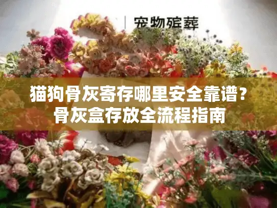 猫狗骨灰寄存哪里安全靠谱？骨灰盒存放全流程指南