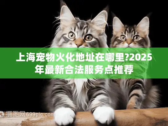 上海宠物火化地址在哪里?2025年最新合法服务点推荐
