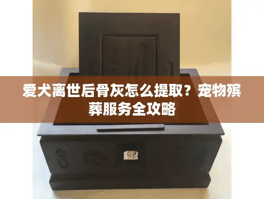 爱犬离世后骨灰怎么提取？宠物殡葬服务全攻略
