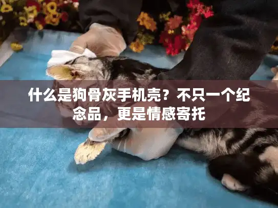 什么是狗骨灰手机壳？不只一个纪念品，更是情感寄托