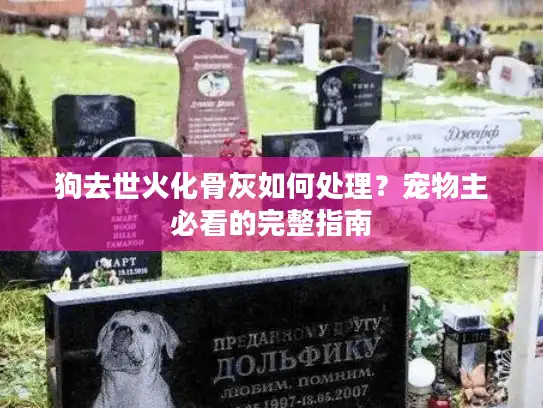 狗去世火化骨灰如何处理？宠物主必看的完整指南
