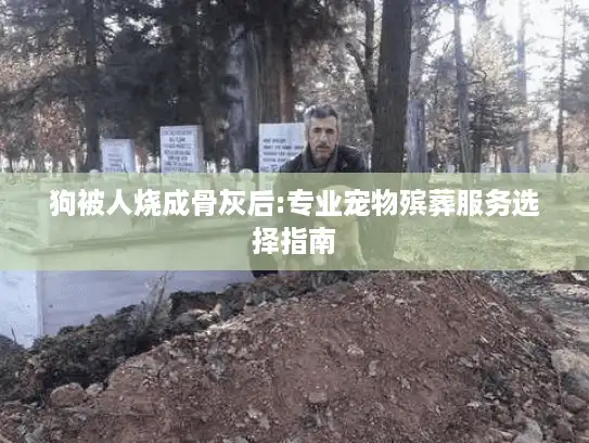 狗被人烧成骨灰后:专业宠物殡葬服务选择指南