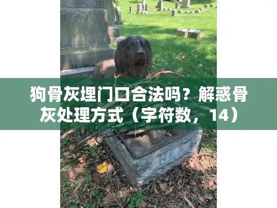 狗骨灰埋门口合法吗？解惑骨灰处理方式（字符数，14）