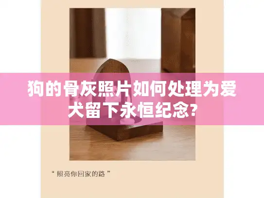 狗的骨灰照片如何处理为爱犬留下永恒纪念?