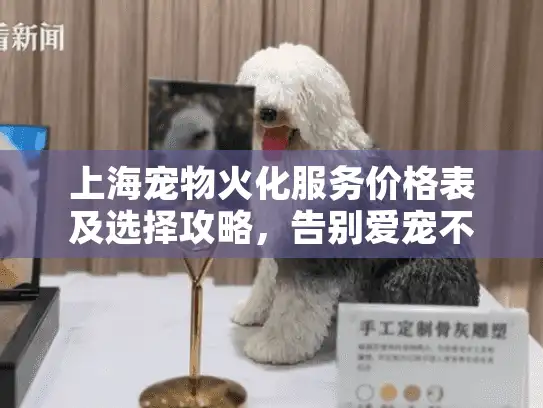 上海宠物火化服务价格表及选择攻略，告别爱宠不再迷茫