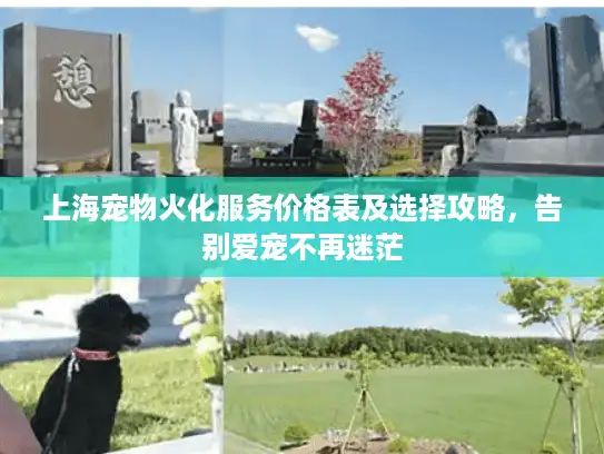 上海宠物火化服务价格表及选择攻略，告别爱宠不再迷茫