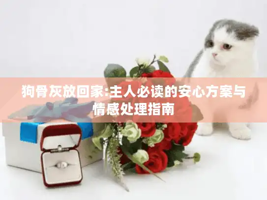 狗骨灰放回家:主人必读的安心方案与情感处理指南