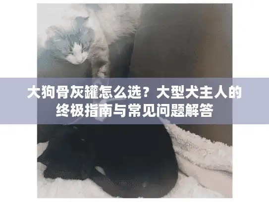 大狗骨灰罐怎么选？大型犬主人的终极指南与常见问题解答