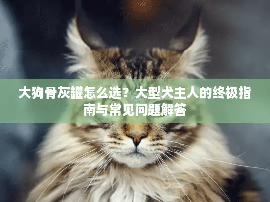 大狗骨灰罐怎么选？大型犬主人的终极指南与常见问题解答