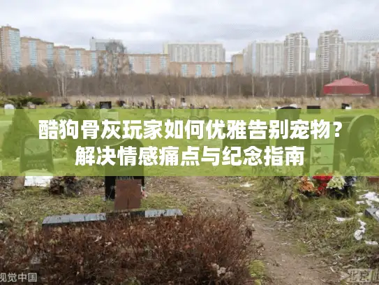 酷狗骨灰玩家如何优雅告别宠物？解决情感痛点与纪念指南