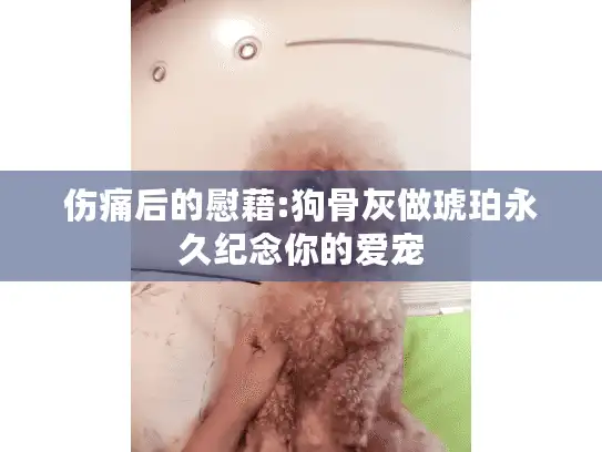 伤痛后的慰藉:狗骨灰做琥珀永久纪念你的爱宠