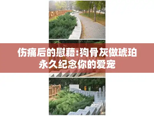 伤痛后的慰藉:狗骨灰做琥珀永久纪念你的爱宠