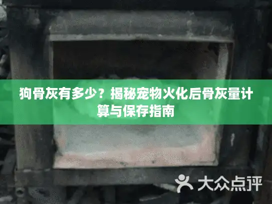 狗骨灰有多少？揭秘宠物火化后骨灰量计算与保存指南